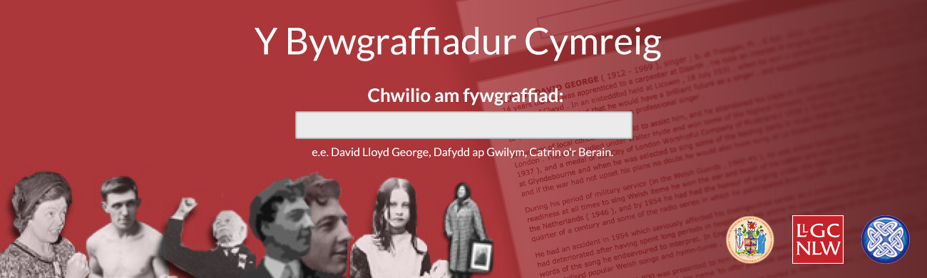 dictionary-slide-welsh